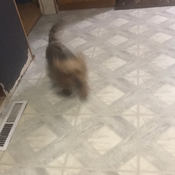 Meet your Posher, Marie - Picture 1 of 1